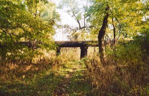 Old bridge amidst lush green forest path.
